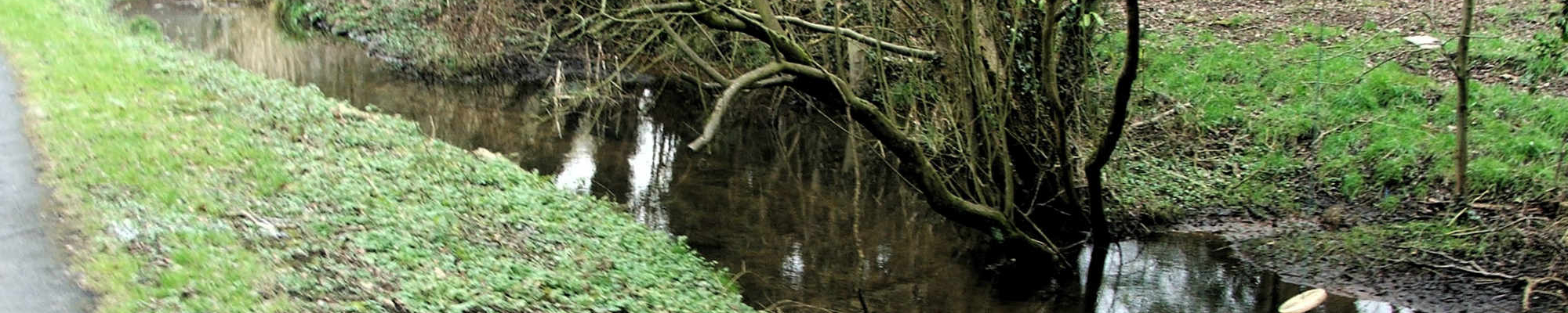 Churchill Lane stream