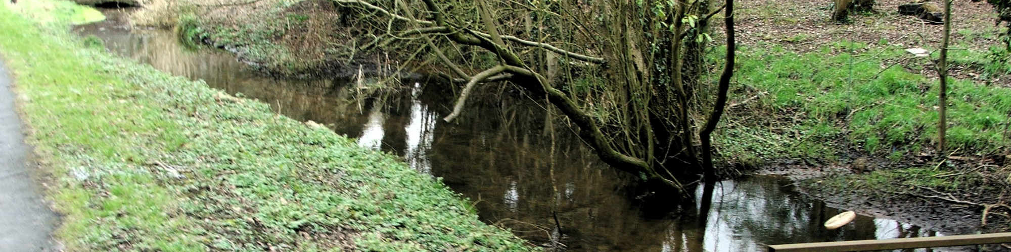 Churchill Lane stream